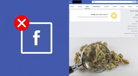 רוצים קנאביס? לכו חפשו! (אבל לא בפייסבוק)