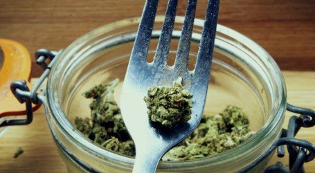 איך מבשלים עם קנאביס? היסודות למתחילים