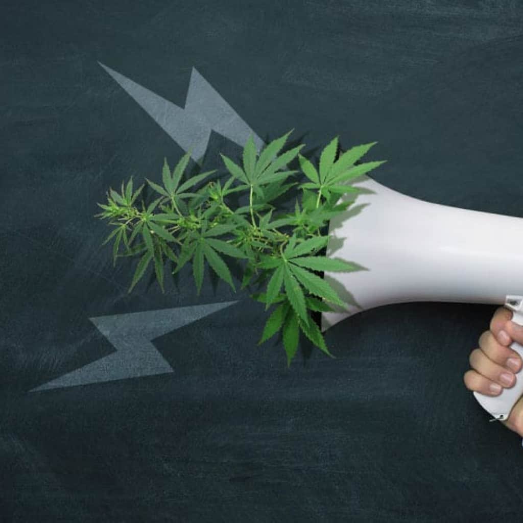 10 מדינות הלגליזציה בארה"ב - לפני הבחירות הקרובות