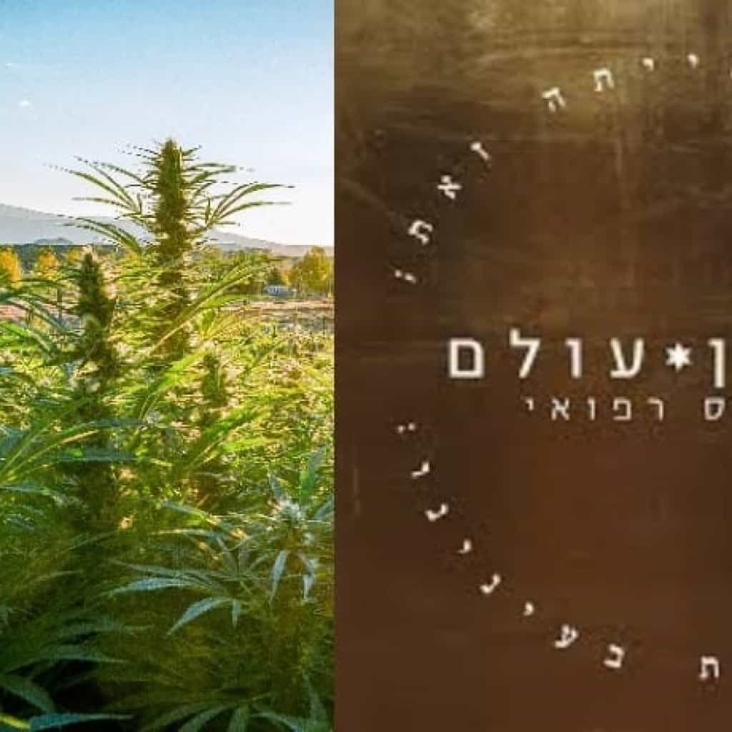 'תיקון עולם' נסגרת זמנית בצו משרד הבריאות - על מה ולמה?