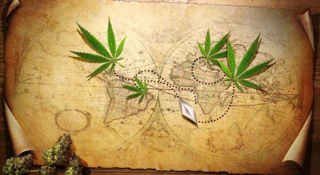 השאר היסטוריה – 4 דברים שעשו עם קנאביס רק בעבר