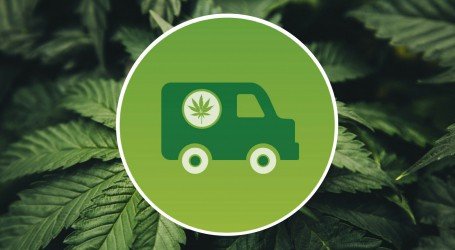 הסחים הפסידו – משלוחי קנאביס יאושרו גם בערים שאסרו על קנאביס