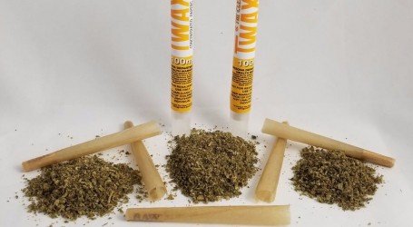 ניירות גלגול עם THC – הטירוף החדש של שוק הפנאי