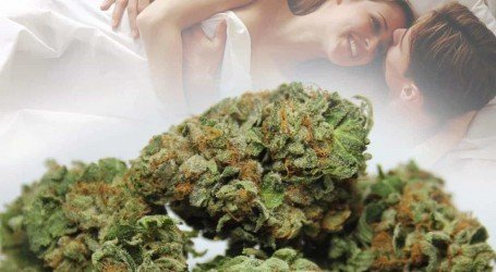 ויאגרה נשית? חברת קנאביס מפתחת את העתיד של הסקס