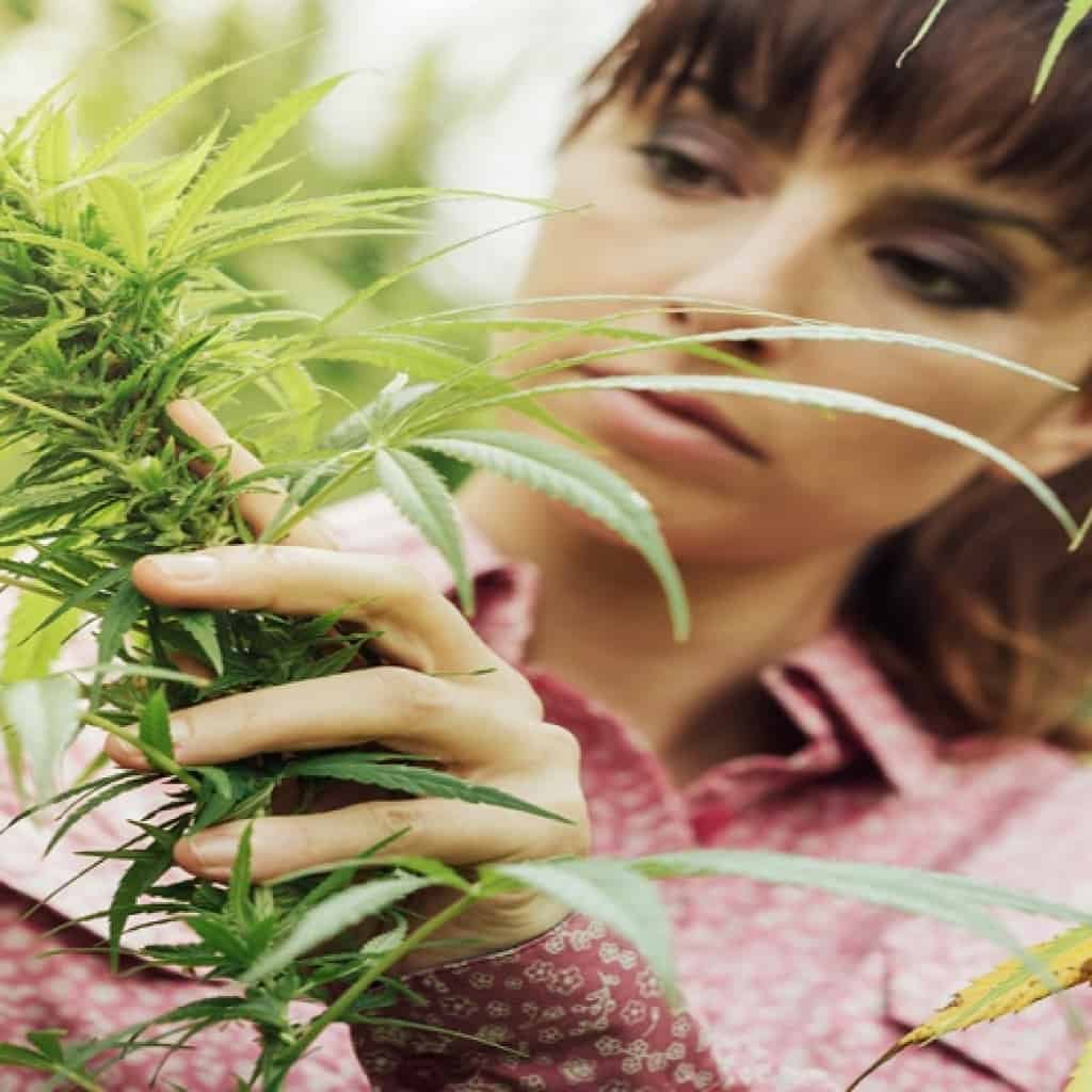 לכבוד יום האמיצה - נשות הלגליזציה הישראליות