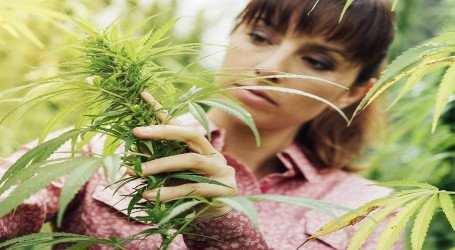 לכבוד יום האמיצה – נשות הלגליזציה הישראליות