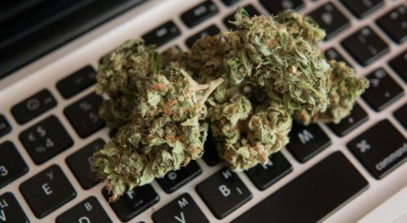 איך מתארגנים על וויד בלי ‘טלגראס’?