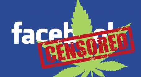 השותפה של המשטרה נגד ‘טלגראס’ – פייסבוק חשפה מידע חיוני