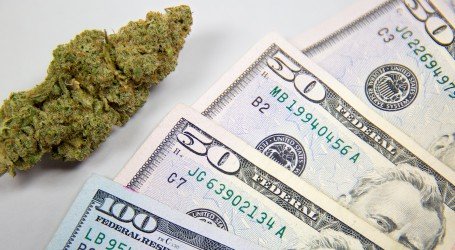 השקעות קנאביס בשוק ההון – ארה”ב ומקסיקו בדרך לעלייה