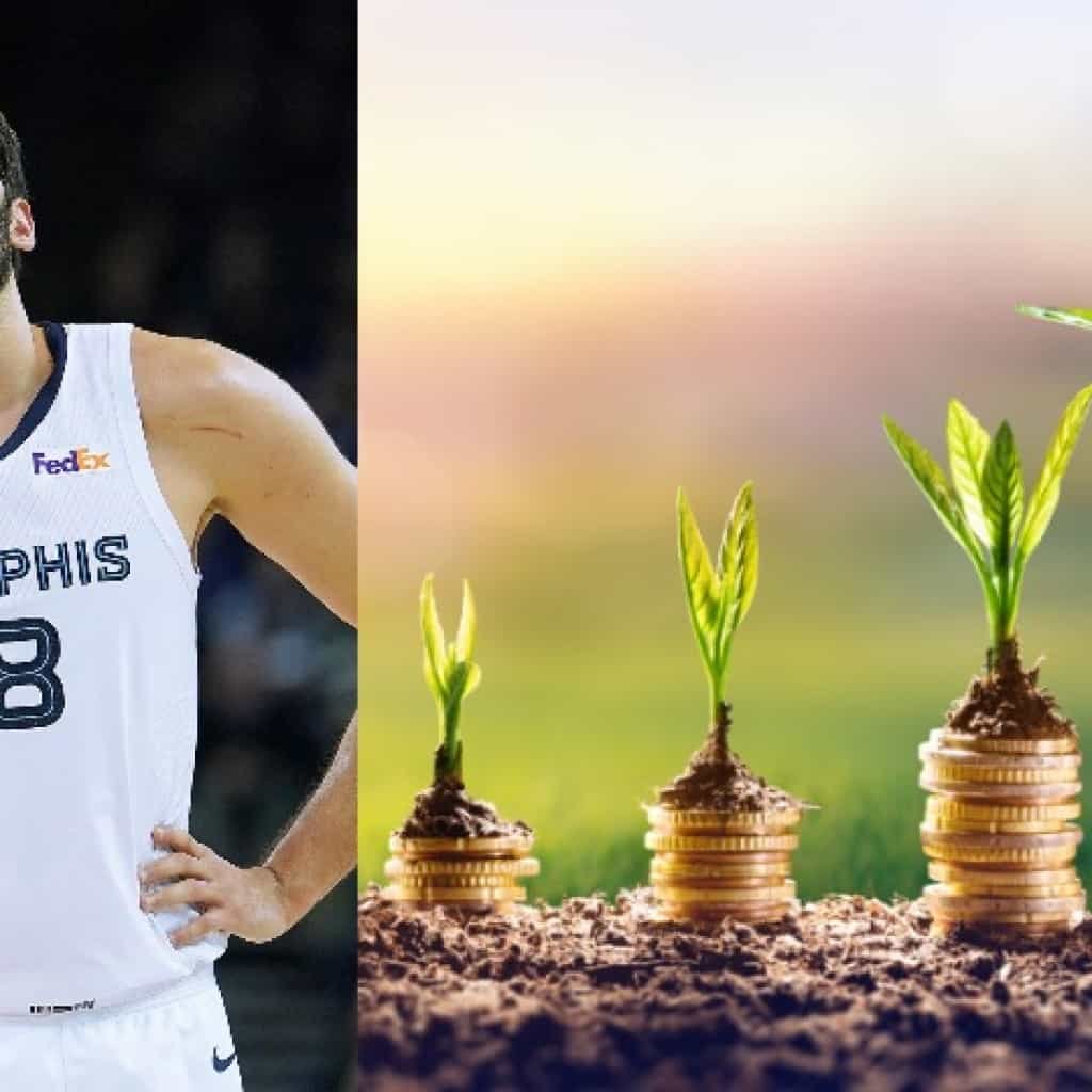 הכדור הוא ירוק - עומרי כספי משקיע בתעשיית הקנאביס