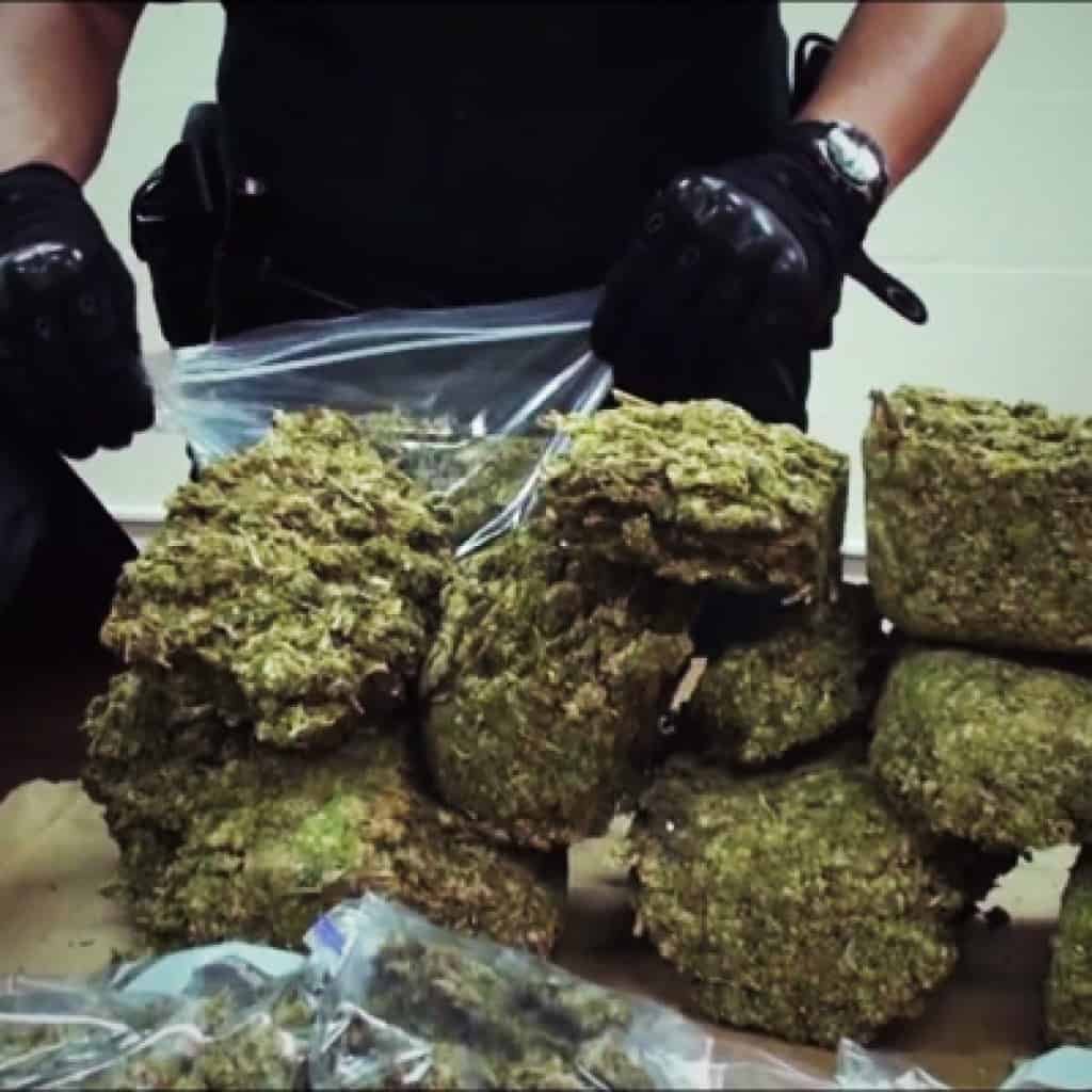 העצורים של 'טלגראס' - גרמים בודדים במקום סוחרים עשירים