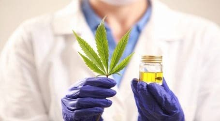 ניו יורק: אין יותר בדיקות סמים לצרכני קנאביס בעבודה