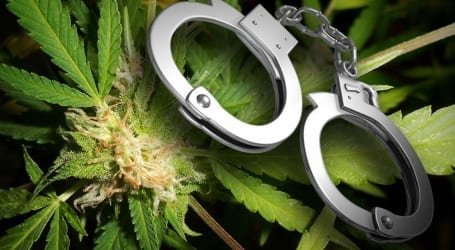 “ביום אחד כל מה שבנינו נפל” – סוחר בטלגראס מספר על המפולת