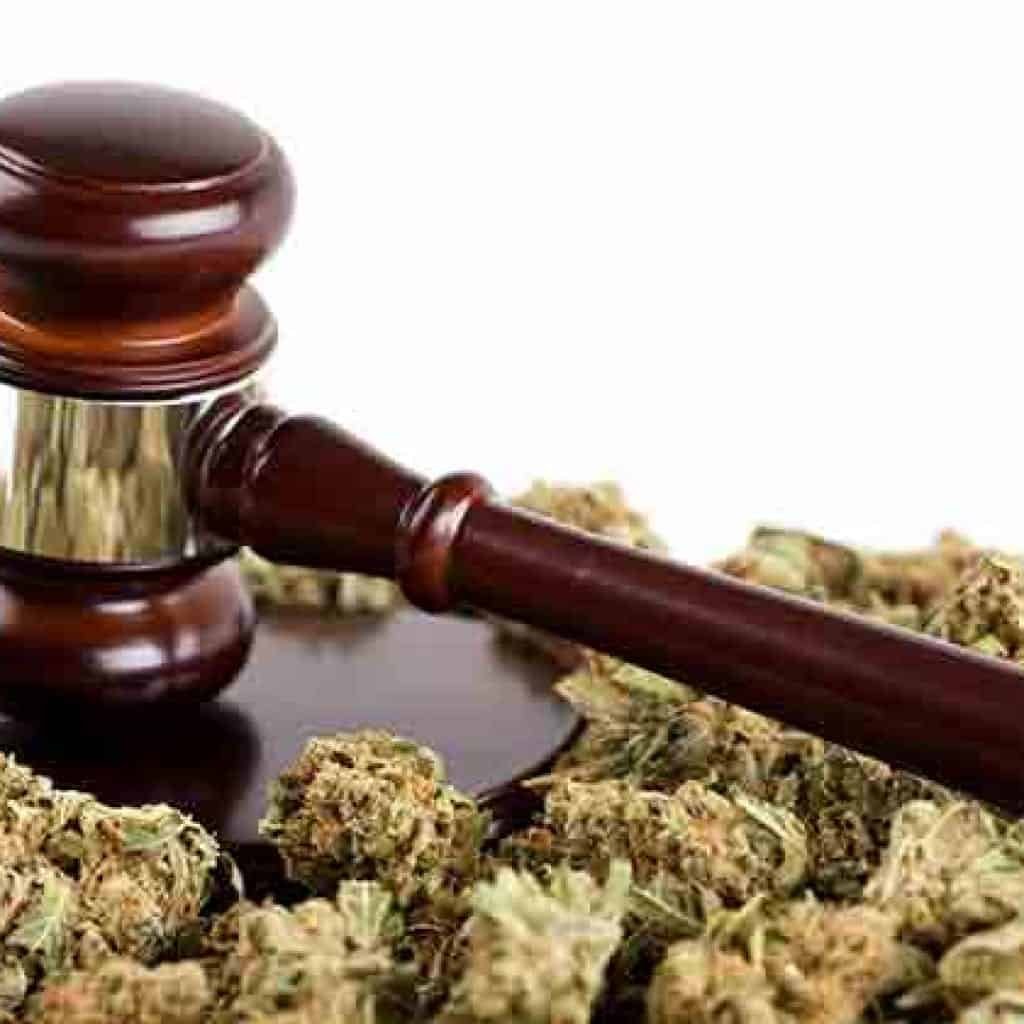 שלומי סנדק: "כל תביעה נגד היק"ר היא מכה נוספת בחומת האדישות והאטימות"