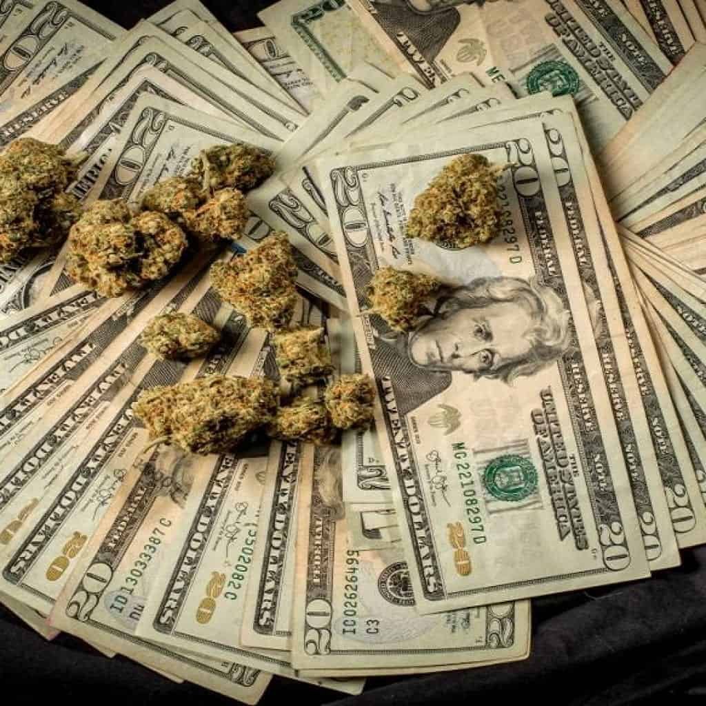 השקעות בעולם הקנאביס - שבוע מצוין להשקעה
