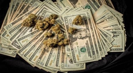 השקעות בעולם הקנאביס – אירופה מצטרפת למשחק