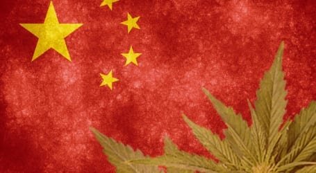השקעות בעולם הקנאביס – סין מצטרפת למשחק