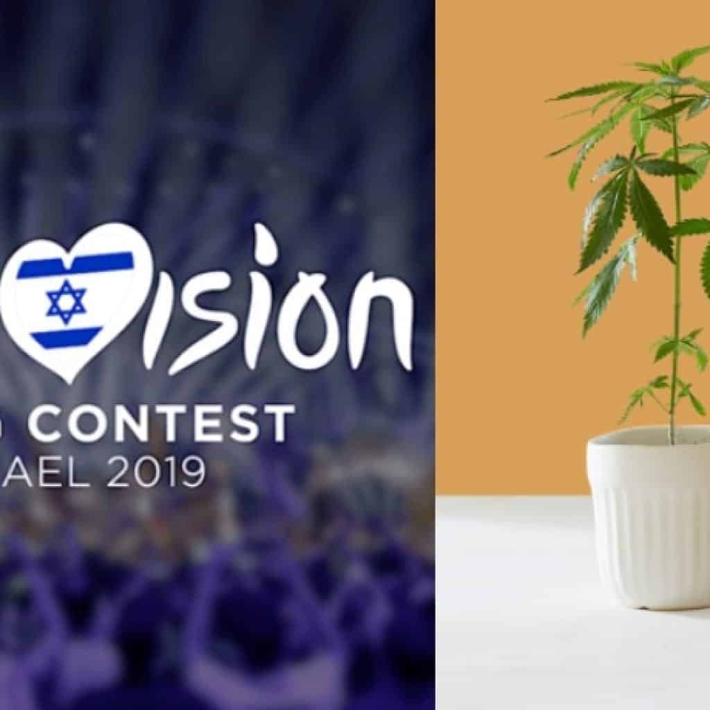 לקראת גמר האירוויזיון - משטרת ישראל מזהירה תיירים מ-CBD