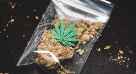 השקעות בעולם הקנאביס – מדד הקנאביס בירידה בעקבות שמועות ברשתות החברתיות