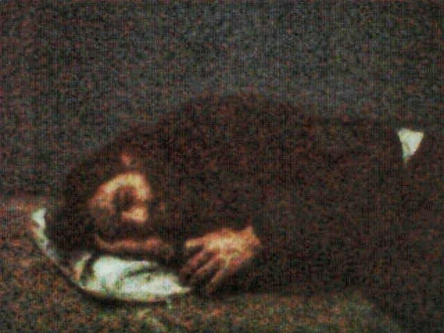 תמונה של עמוס דב סילבר מהכלא