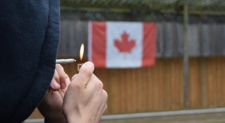 קנדה וקנאביס: השקעות וקנאביס – השוק החוקי בקנדה עלה משמעותית בשנת 2019