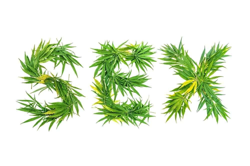 סקס וקנאביס