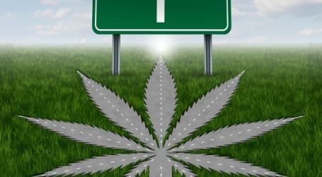 השקעות בעולם הקנאביס – שוק הקנאביס בקליפורניה ממשיך לגדול ומהר סקירה