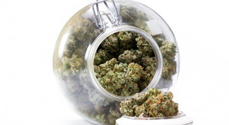 אחסון קנאביס – הסוד טמון בטיב האחסון