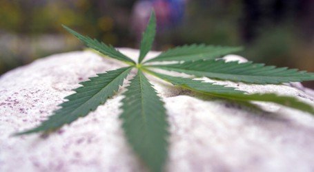 השקעות וקנאביס – בית הנבחרים מביא להצבעה חוק הקשור לקנאביס