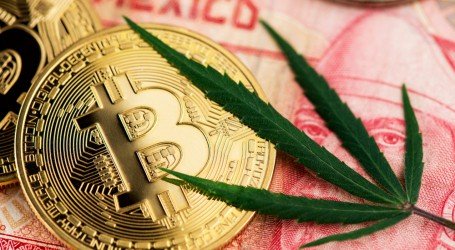 השקעות וקנאביס – לגליזציה במקסיקו בדרך?
