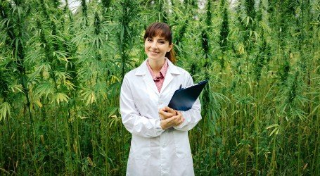 פריחה נקבית – הנשים בשדה הקנאביס