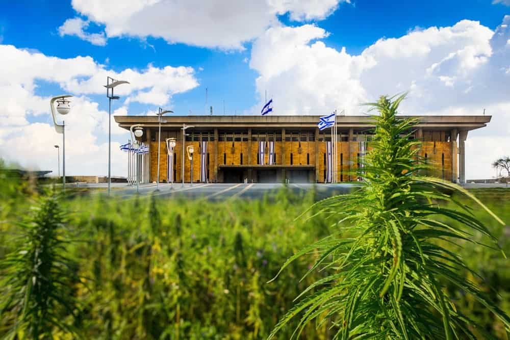 השפעות הלגליזציה