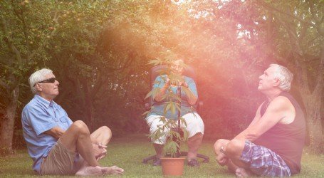 טיפה ממעיין הנעורים – קנאביס נגד דמנציה, מחקר ישראלי