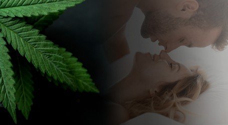 לגליזציה מובילה לסקס – מחקר חדש