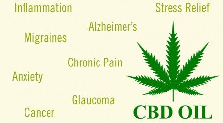 השקעות בשוק הקנאביס – CBD מבוסס המפ בדרך להיות חופשי בארה”ב