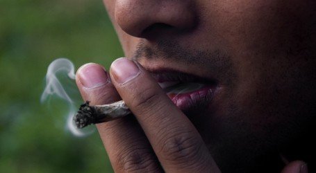 קנאביס רפואי בישראל