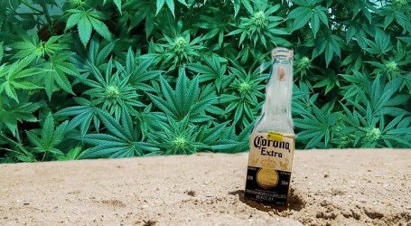 ענף הקנאביס – סקירה שבועית לתאריך 11/3/2020 קנאביס וקורונה!