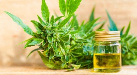 ענף הקנאביס – סקירה שבועית לתאריך 15/3/2020, יורדים חזק ומהר…