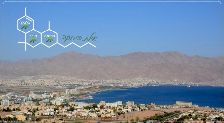 אילת בונה לגליזציה